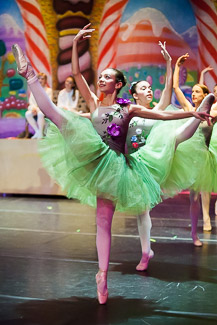 Nutcracker 2013