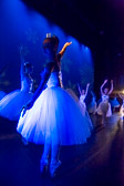 WALLS-20141219-0164-2.jpg