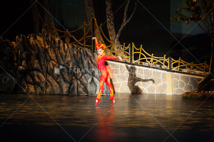 WALLS-20150419-0529.jpg
