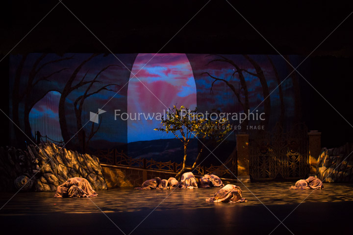 WALLS-20150419-3760.jpg