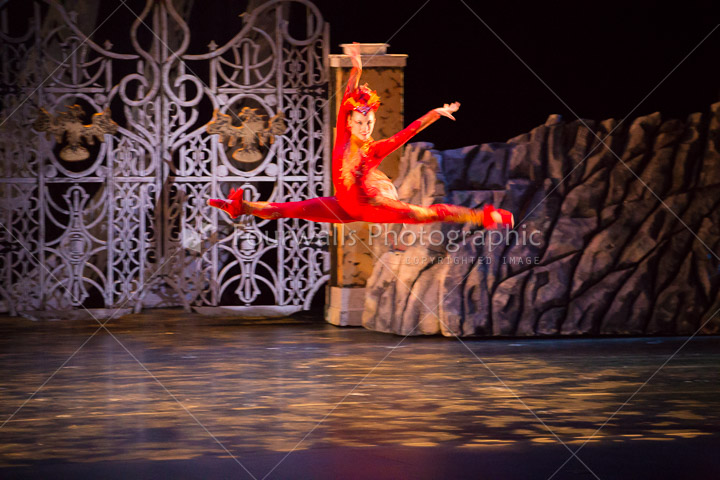 WALLS-20150419-3793.jpg