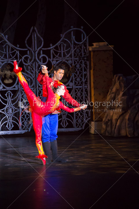 WALLS-20150419-3820.jpg
