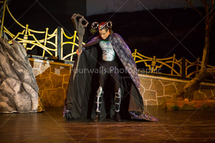 WALLS-20150419-3986.jpg