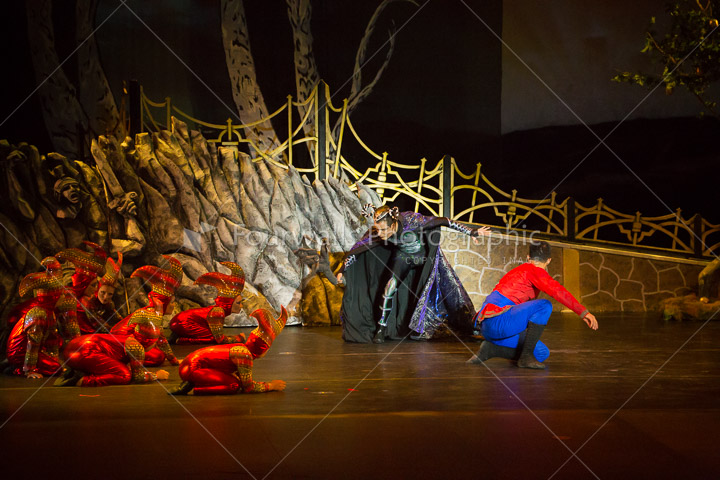 WALLS-20150419-3992.jpg