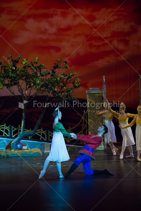 WALLS-20150419-4145.jpg