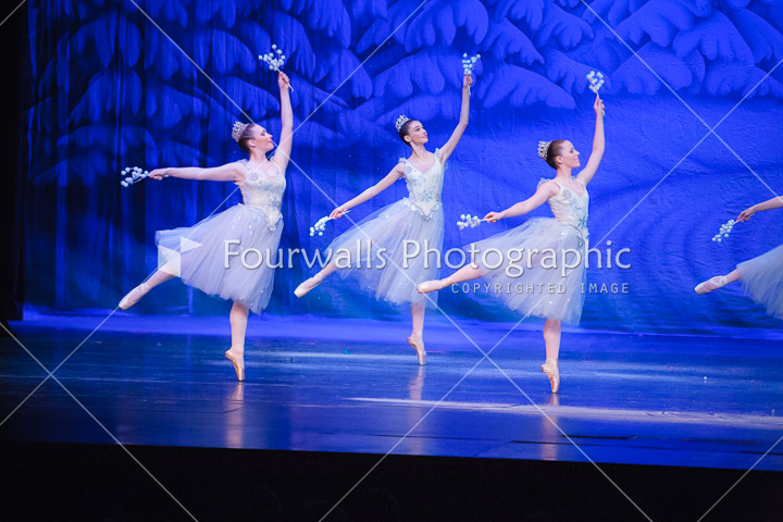 WALLS-20141220-9905.jpg
