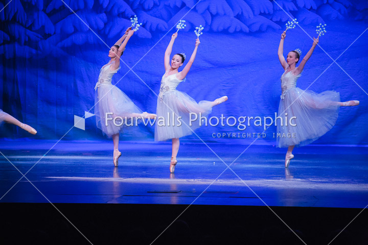 WALLS-20141220-9917.jpg