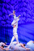 WALLS-20141220-0216.jpg