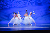 WALLS-20141220-9894.jpg