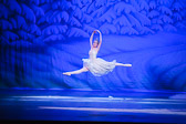 WALLS-20141220-9938.jpg