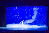 WALLS-20151212-0035-2.jpg