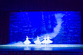 WALLS-20151212-0078.jpg