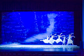 WALLS-20151212-0079.jpg