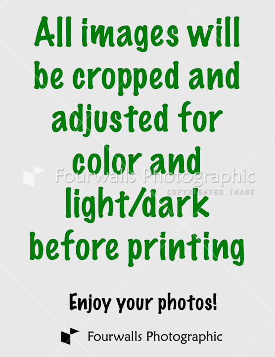0.All-Images-will-be.jpg