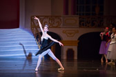 Swan Lake 2016